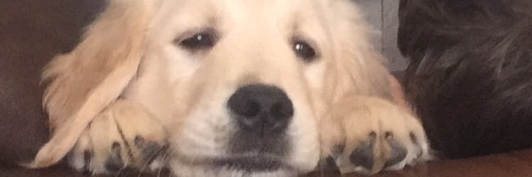 magzedwards's profile banner image