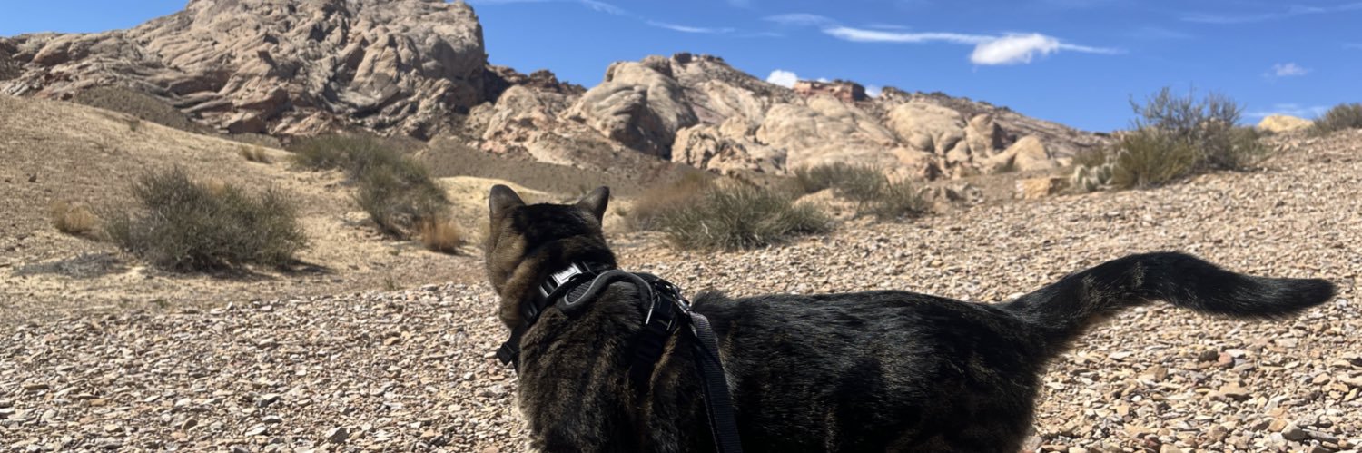 Tioyey's profile banner image