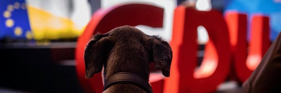 Thorsten Schatz banner