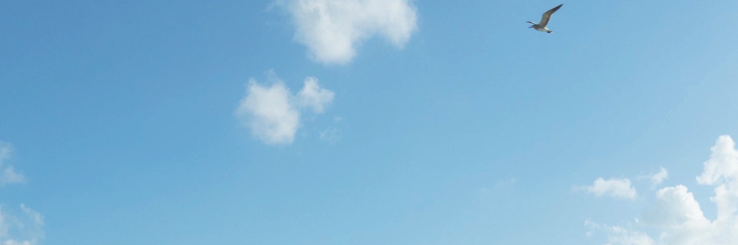 NataaSalgado's profile banner image