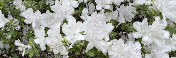 kunmuth Profile Banner