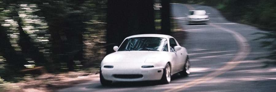 travy ひ banner