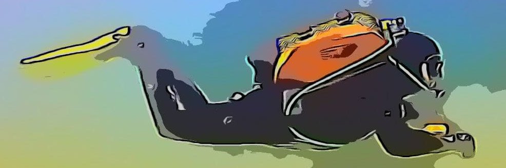 TESQUIERO banner