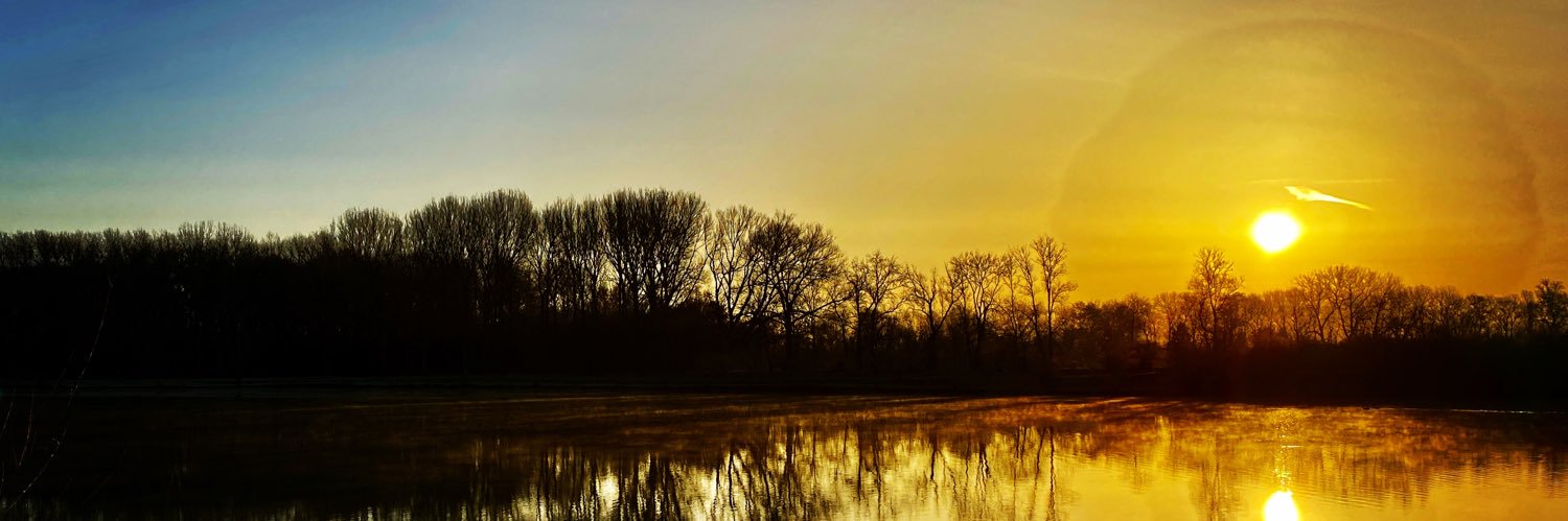 thorewi banner