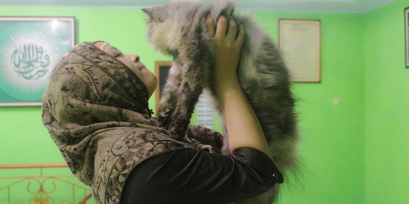panda_anggraini's profile banner image