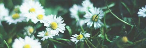 cnwqq_'s profile banner image
