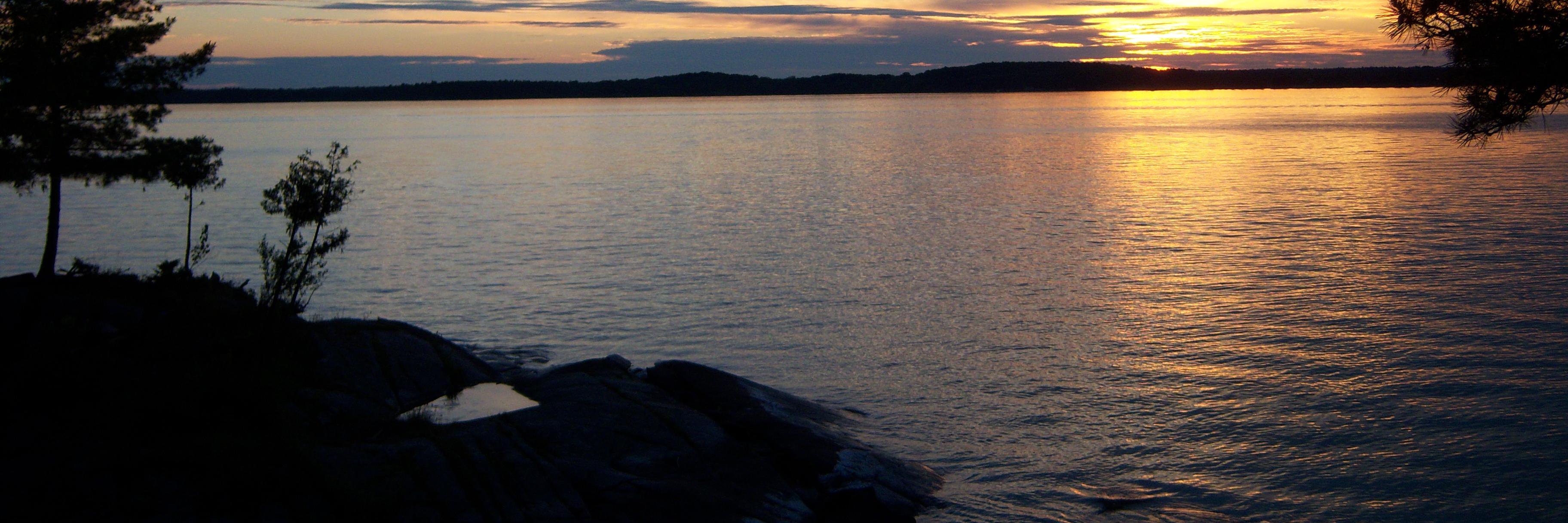 Jamie is no longer here banner