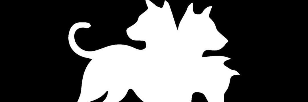 AFolchini's profile banner image