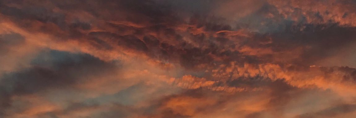 Oceantic's profile banner image