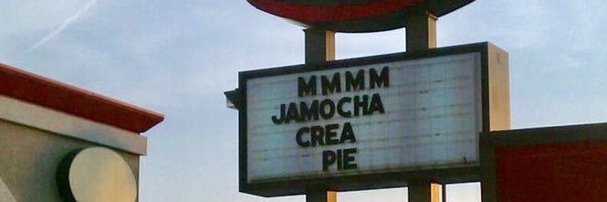 Hunter the Bounty Dog banner