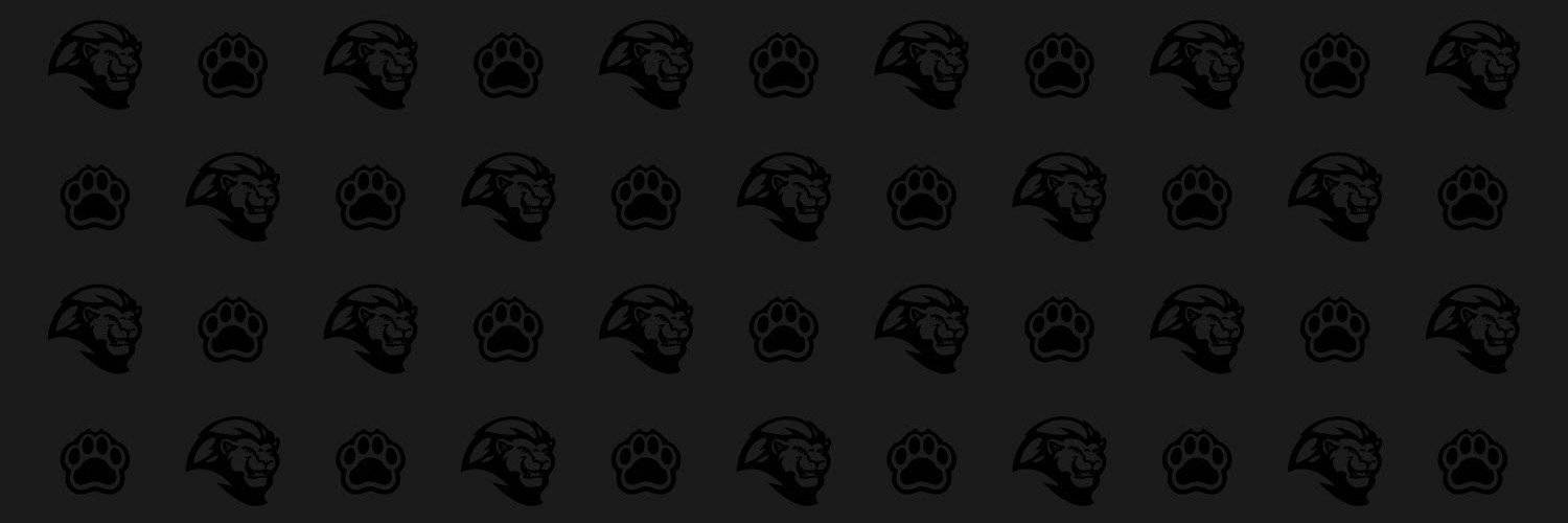 Stevenson School banner