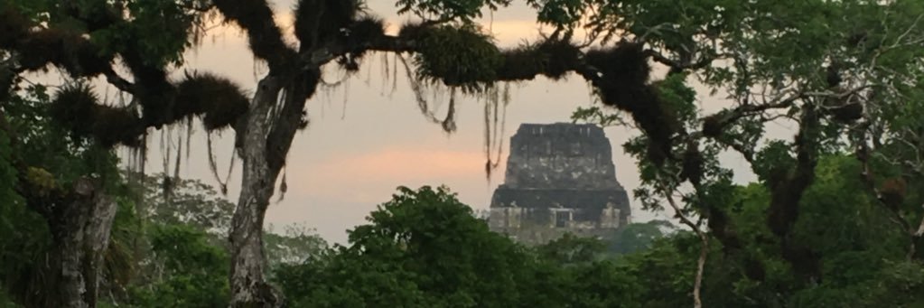 donraynaq's profile banner image