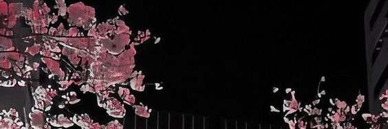 G banner