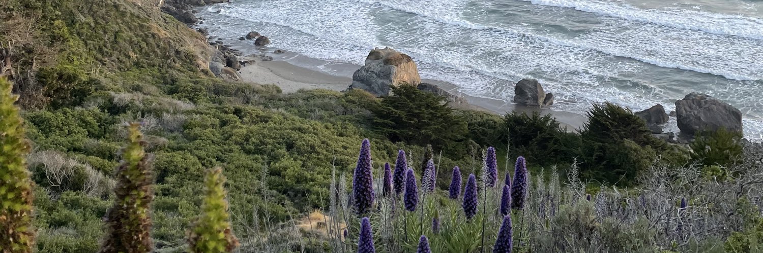 Joe Lee (he/him) 🏳️‍🌈 banner