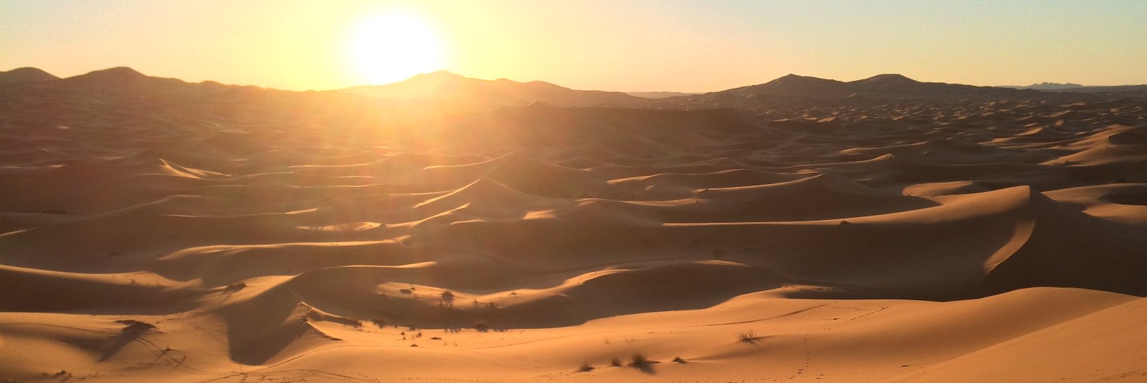 teresa de sanctis banner