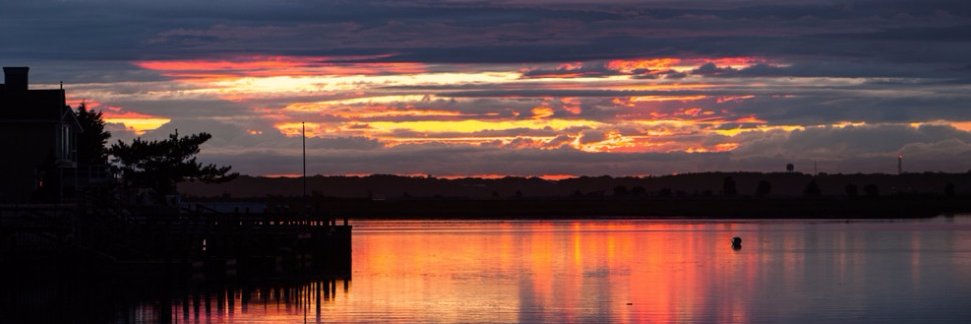 Stephanie Costello banner