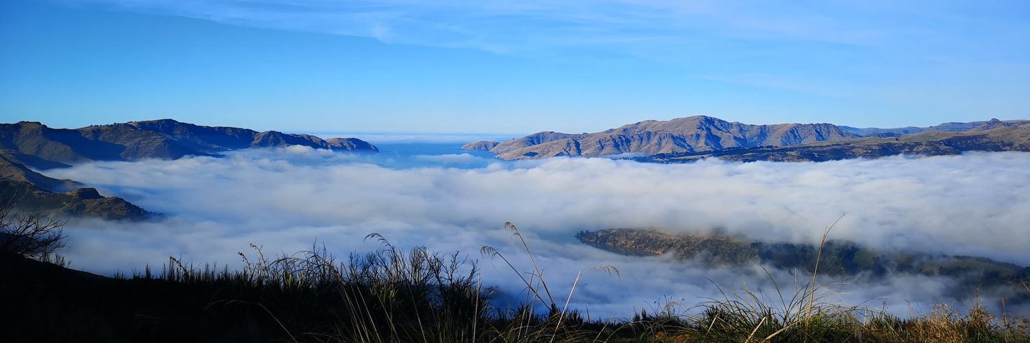 EdmundTanner's profile banner image