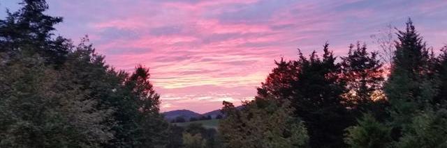 cabaird55's profile banner image