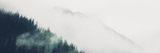 _alice_co's profile banner image
