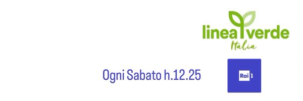 tinto1976 Profile Banner