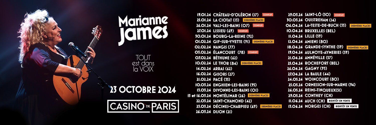 Marianne James banner