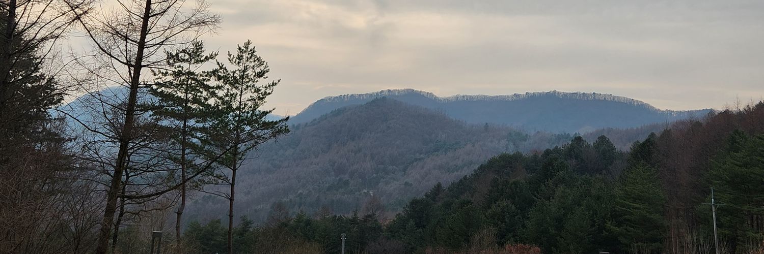 MinSuly8's profile banner image