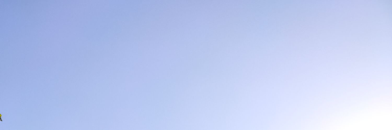 risnend_'s profile banner image