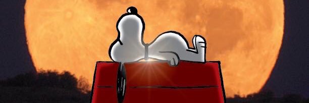 erol yesilyurt banner