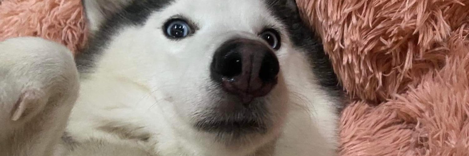 randeeeeell's profile banner image