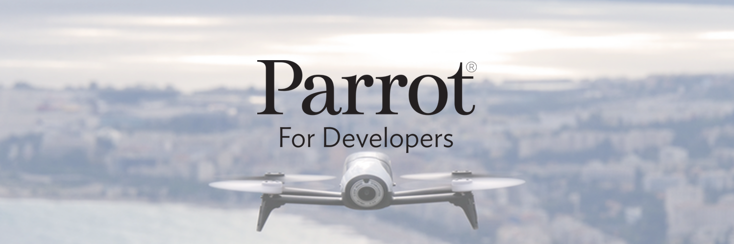 ParrotDeveloper's profile banner image