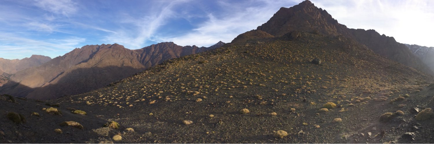 Lluís Carreras banner