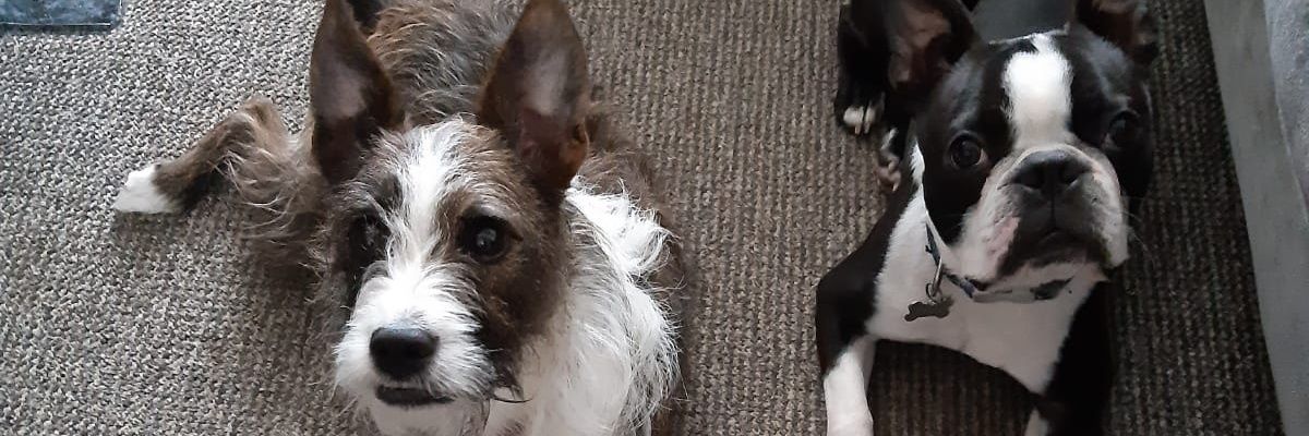 DeanHayton's profile banner image