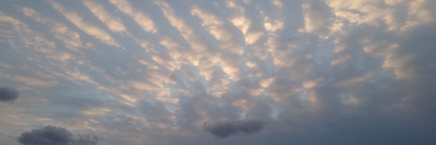 goodpeach48's profile banner image