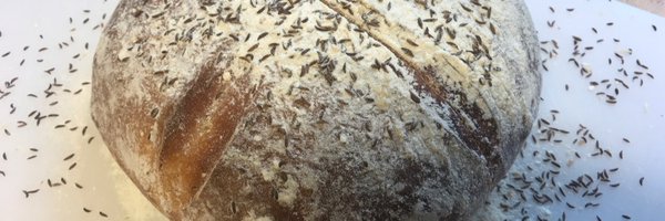 robindashrink Profile Banner