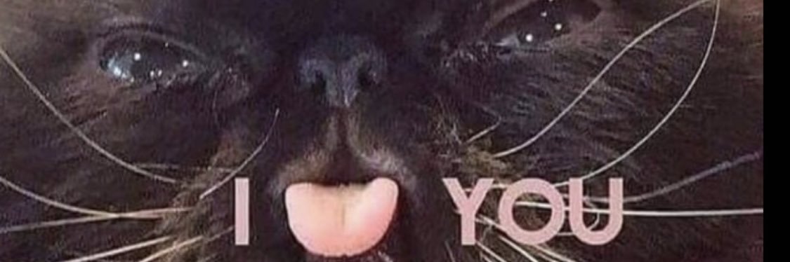 Animaldance's profile banner image