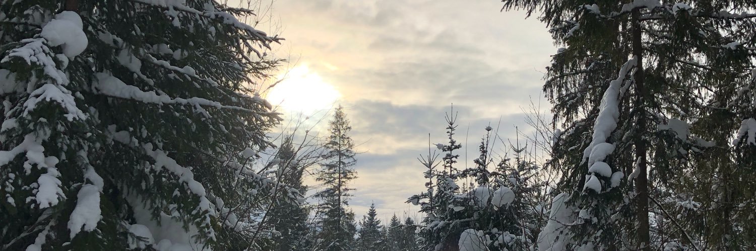 Яринич🇺🇦 banner