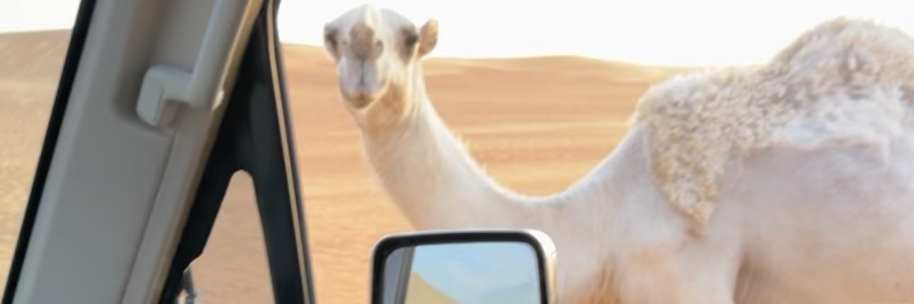 ever4m1's profile banner image