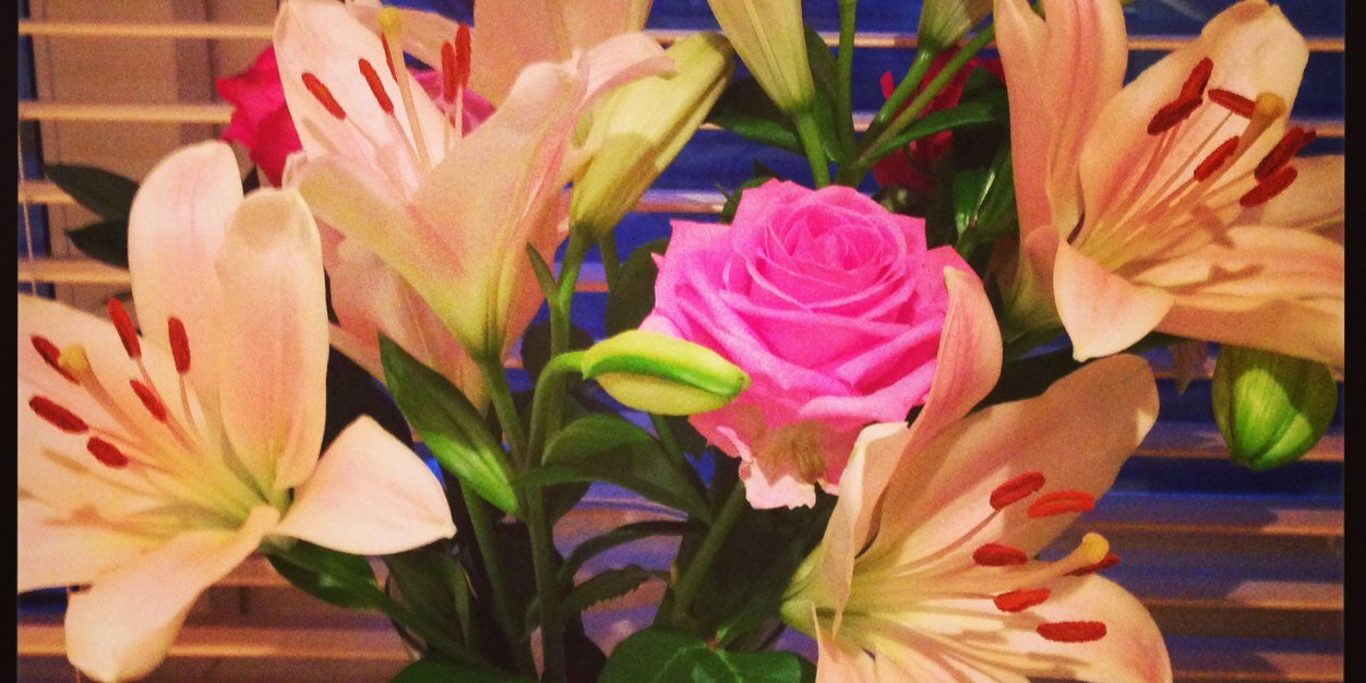 Sarah Emily Barker banner