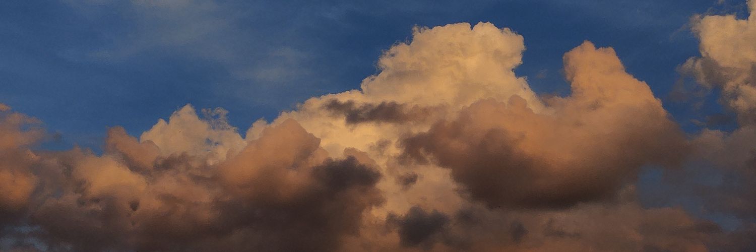 Anu719's profile banner image