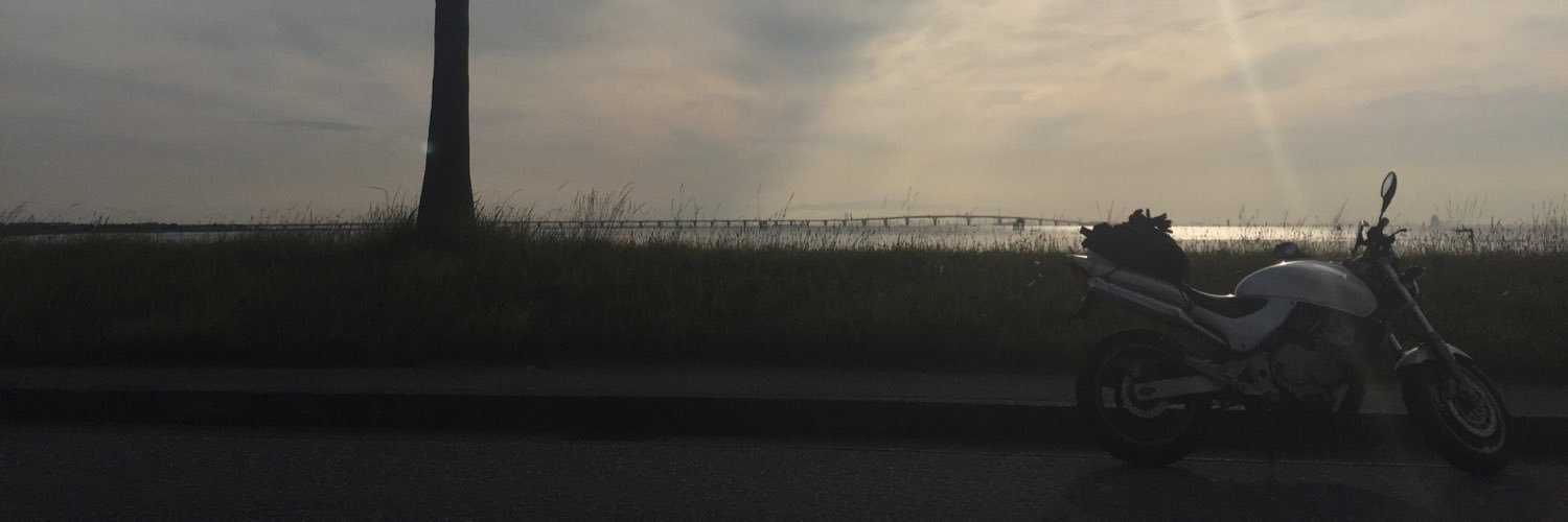 boo_pine's profile banner image
