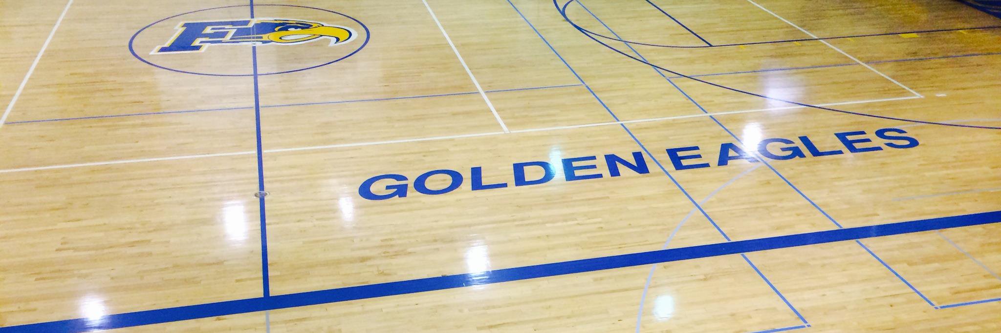 ferndalehoops's profile banner image