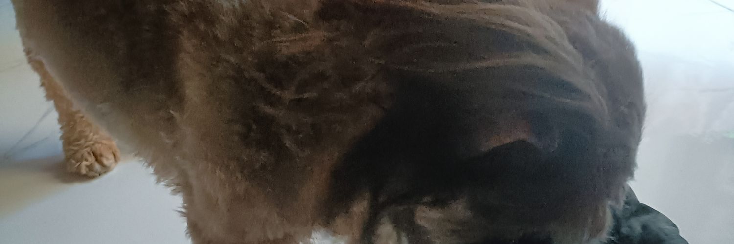 wencyryes's profile banner image