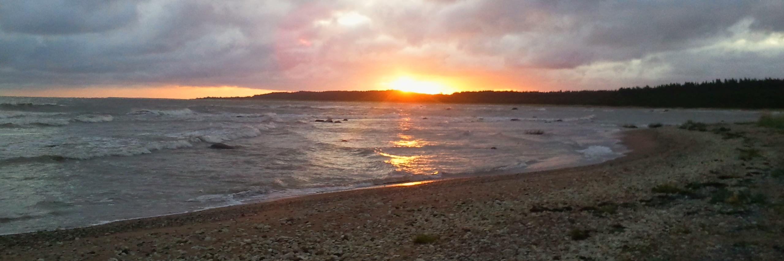 Tinnulinnu's profile banner image