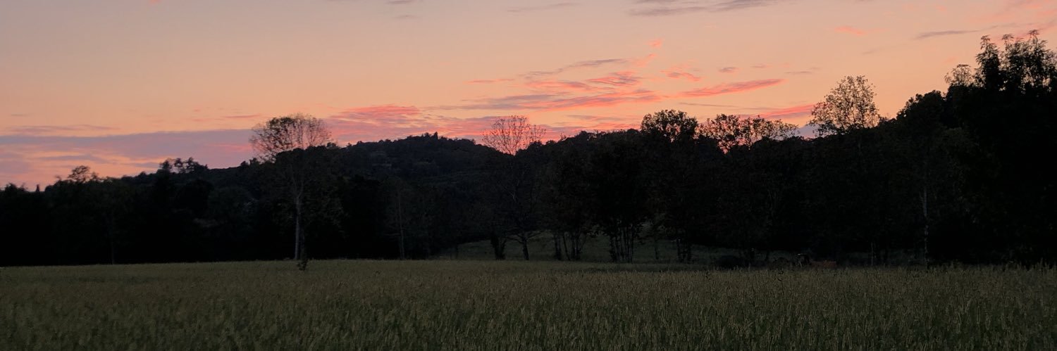 CamillaCallioni's profile banner image