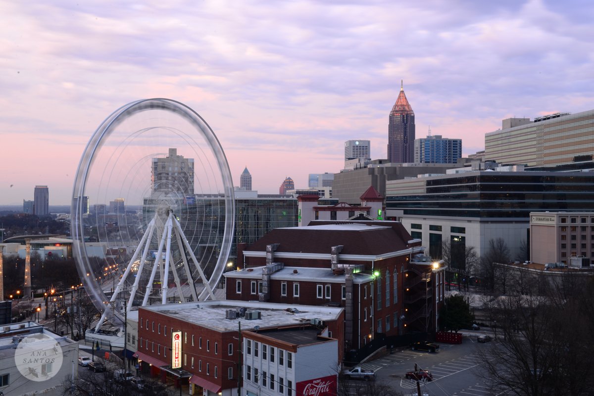 Dreaded Cheffield™ banner