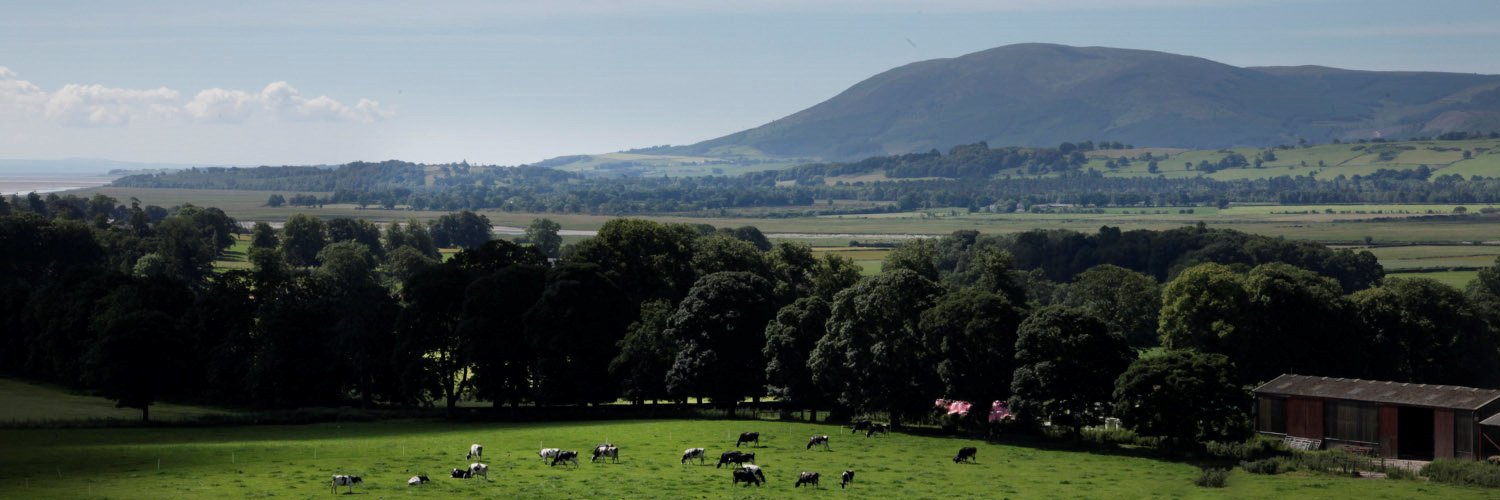 CrichtonInst's profile banner image