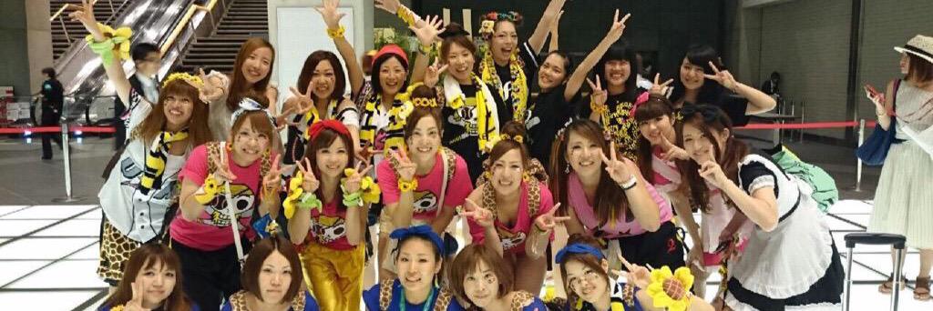 みぃーちゃん🐱🌻🐝 banner