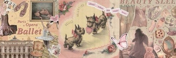 sitndir Profile Banner