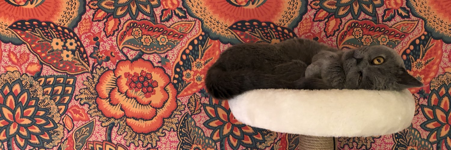 AnnaJaneMorgan1's profile banner image