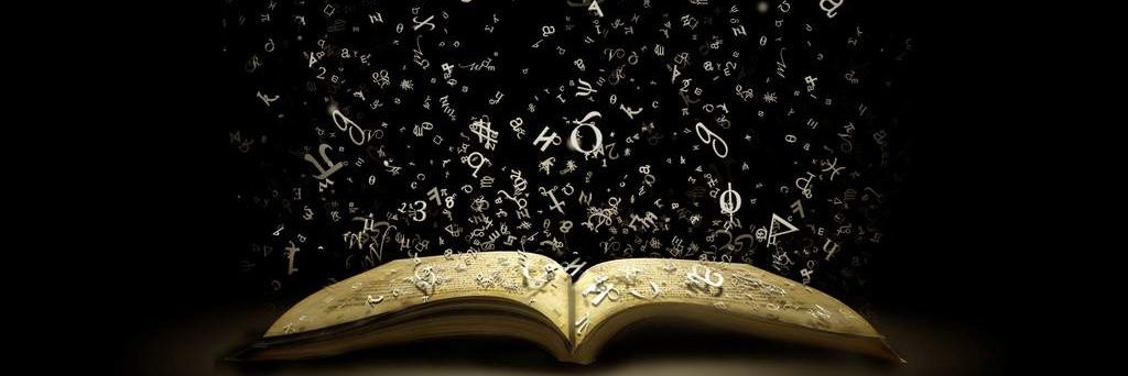 muna_sallal's profile banner image